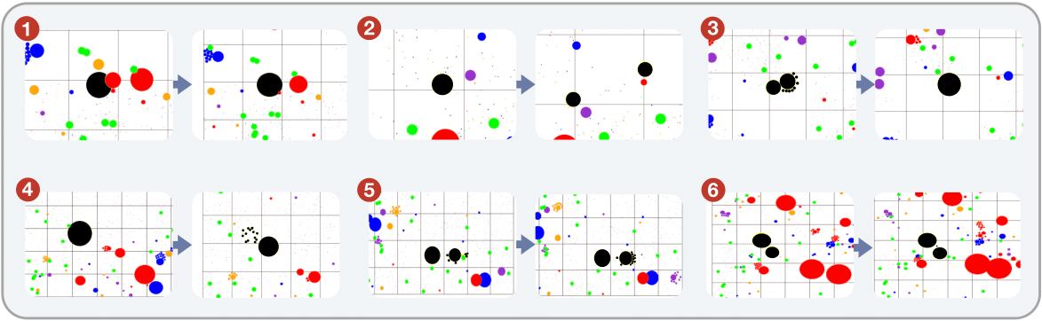 AgarCL gif